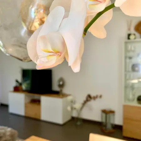 Bueelbad - Relax Apartment *