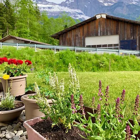 Bueelbad - Relax Apartment Kandersteg