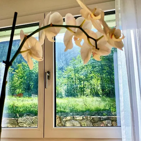 Bueelbad - Relax *