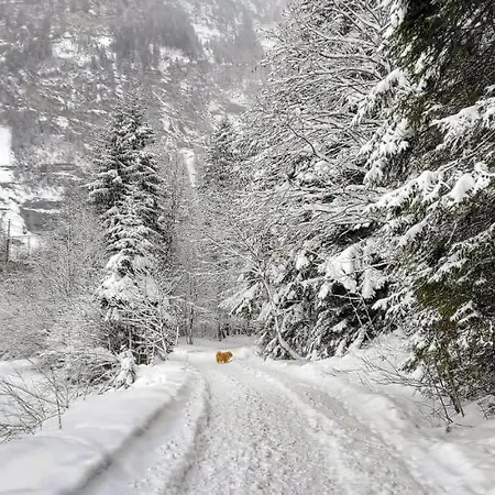 Bueelbad - Relax Apartment Kandersteg