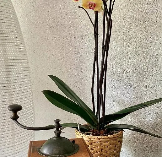 Bueelbad - Relax Kandersteg