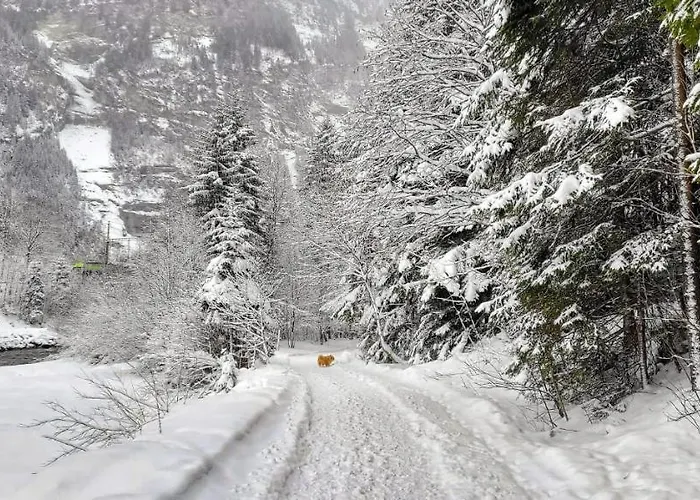 Bueelbad - Relax Appartamento Kandersteg