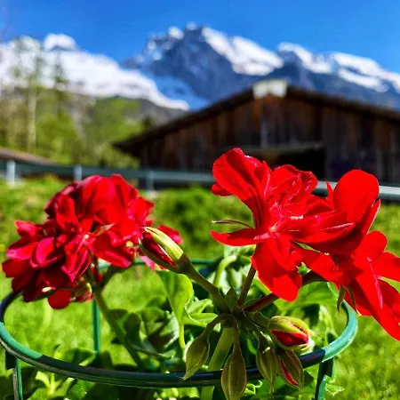 Bueelbad - Relax Apartment