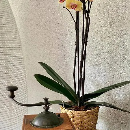 Bueelbad - Relax カンデルシュテッグ